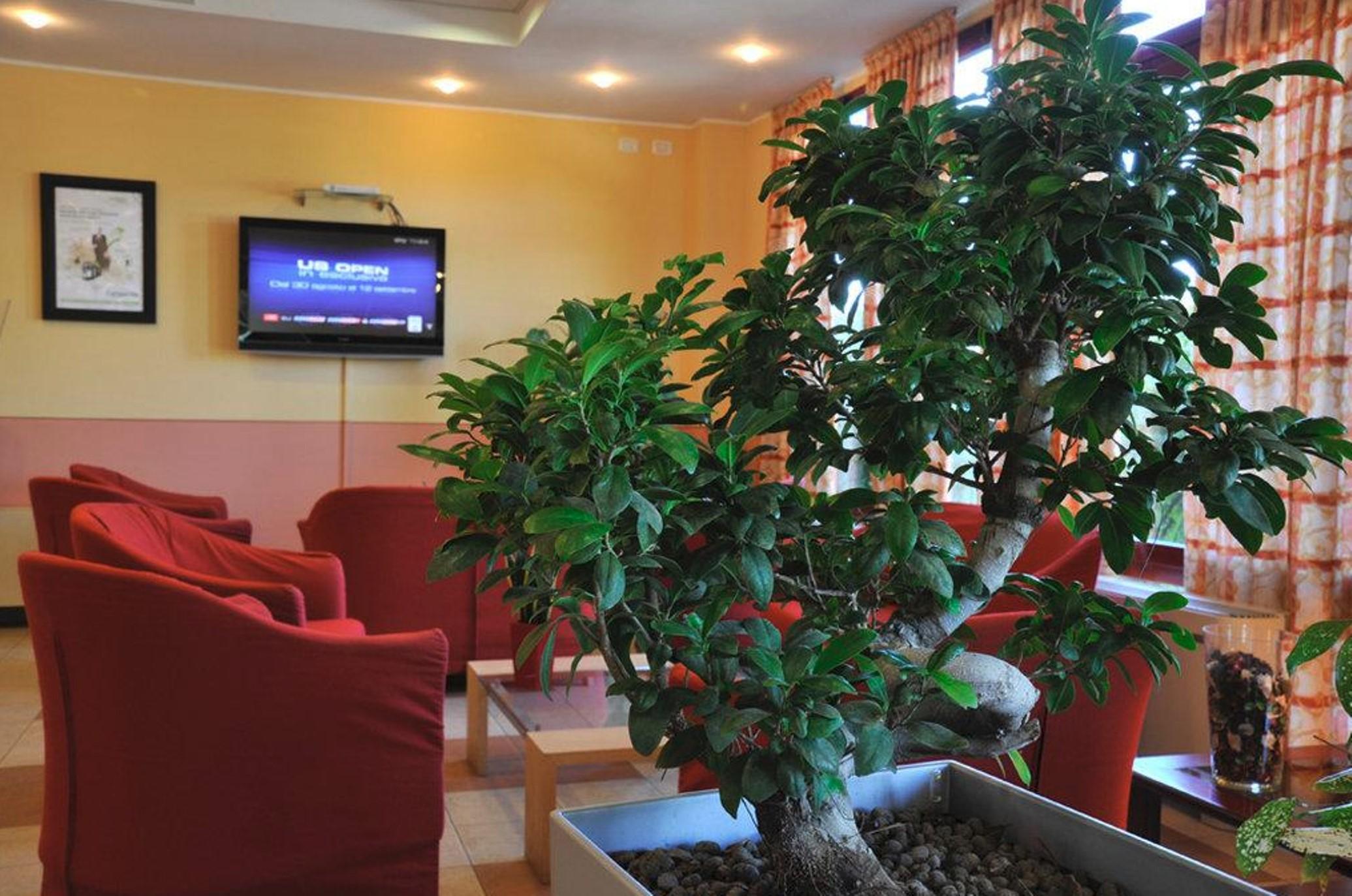 Tulip Inn Turin South Монкальєрі Інтер'єр фото